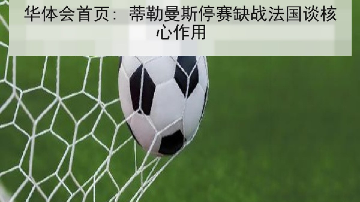 华体会首页: 蒂勒曼斯停赛缺战法国谈核心作用